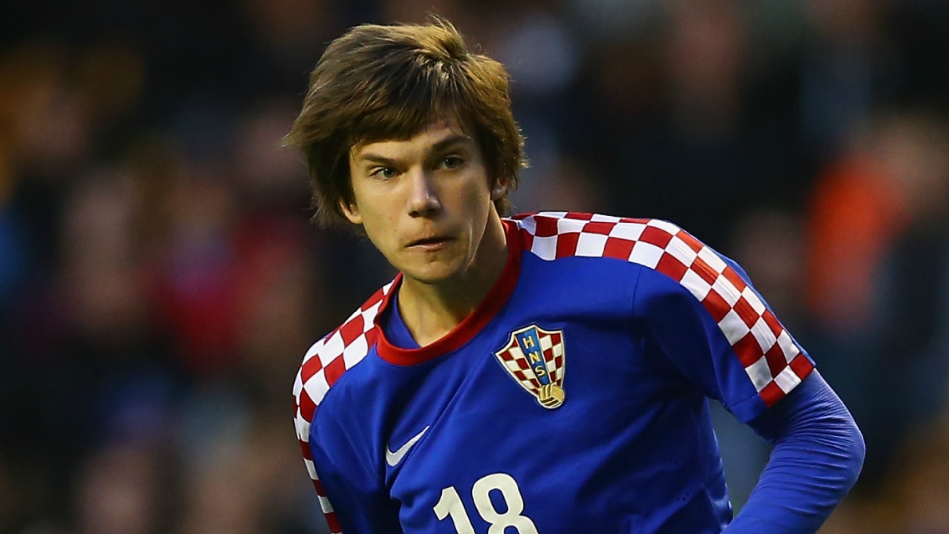 Image result for Ante Coric
