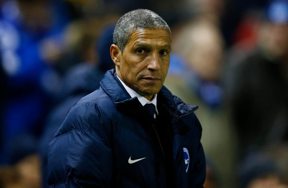 Brighton boss Chris Hughton