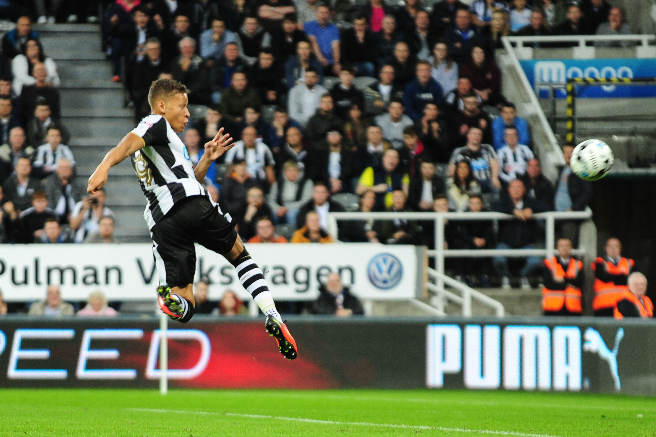 Dwight Gayle of Newcastle United