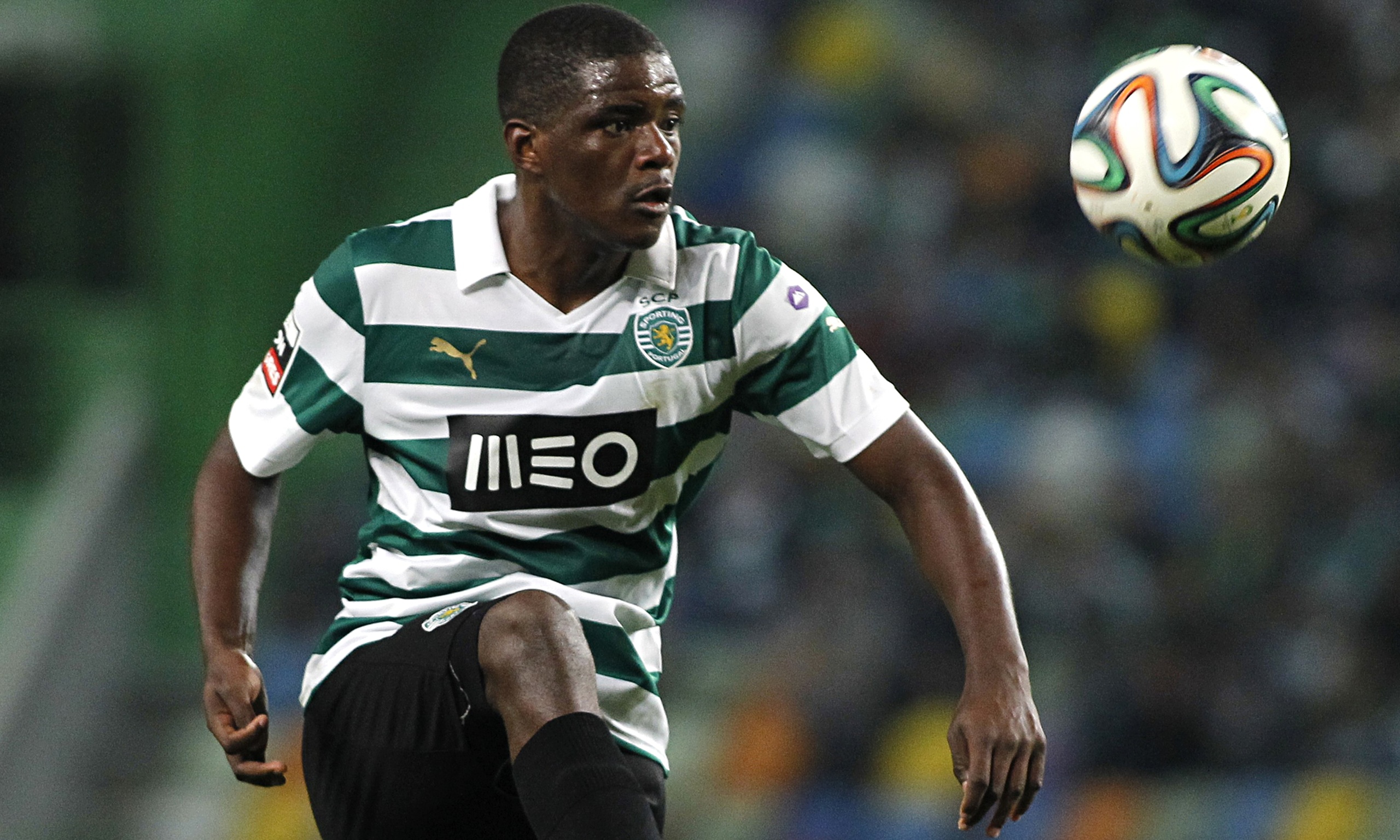 William Carvalho would be perfect for Newcastle