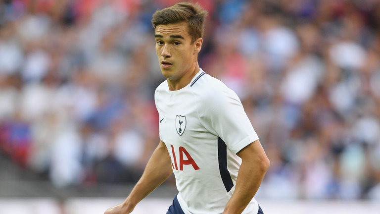 Harry Winks one of England and Tottenham's budding stars (Getty Images)