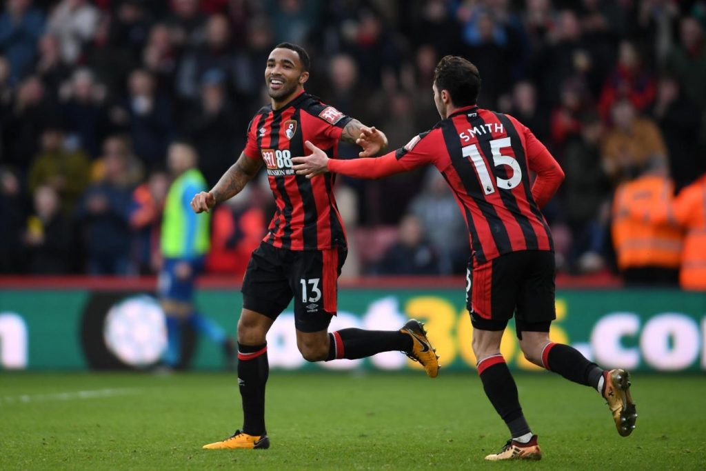 A cheerful Wilson after scoring a goal for Bournemouth.