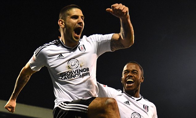 Aleksandar Mitrovic (Getty Images)